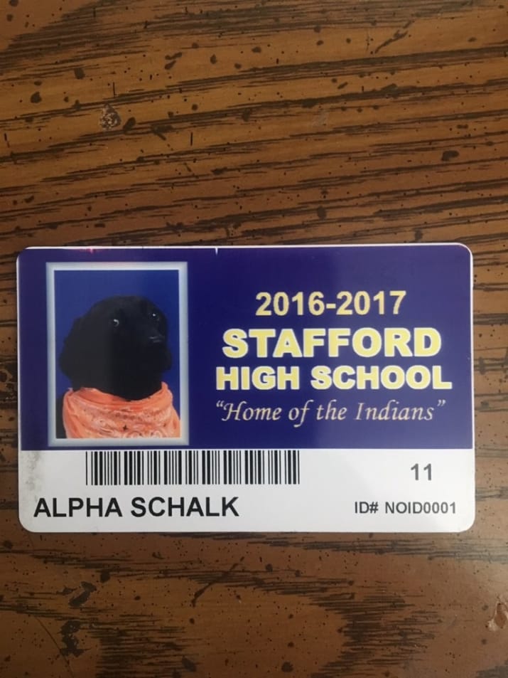 บัตรประจำตัวนักเรียนของเจ้า Alpha