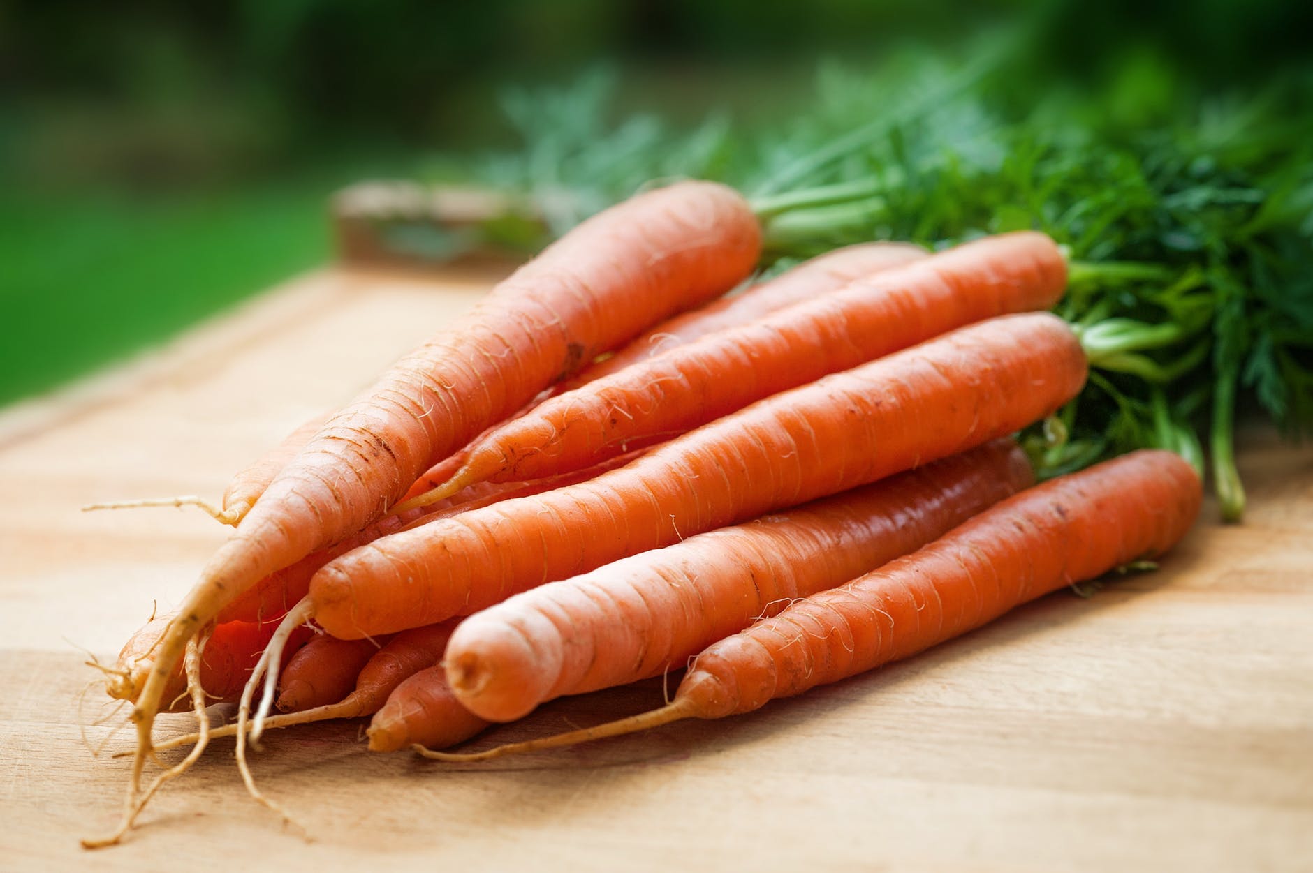 Carrot = แครอท