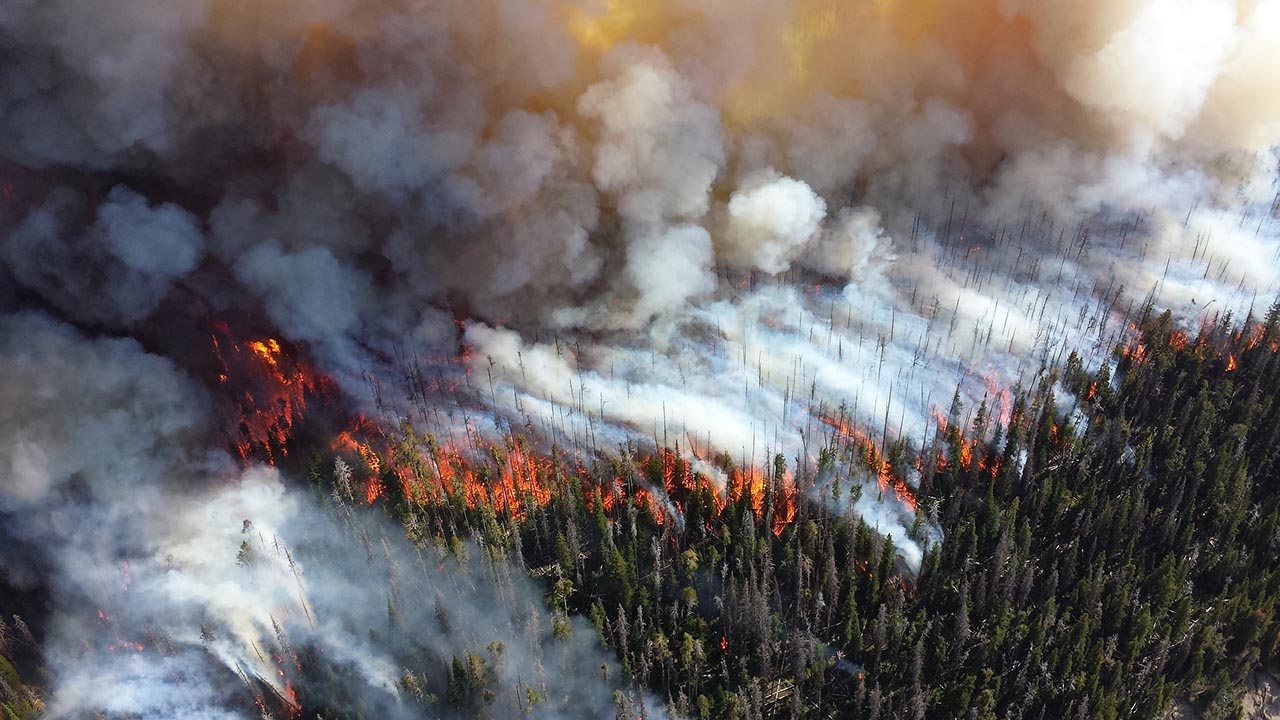 ดีเทคเตอร์มลพิษแบบเรียลไทม์ / ภาพควันดำจากเหตุการณ์ไฟไหม้ป่า